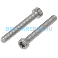 Винт с цилиндрической низкой головкой, шлиц TORX ИСО 14580 А2 M 2X3 <span class="highlight">TX6</span>