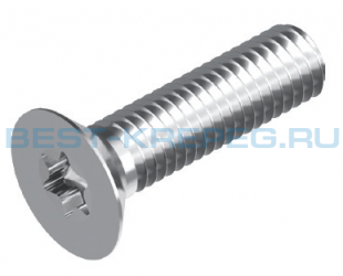 Винты с потайной головкой DIN 965 TX A2 A4