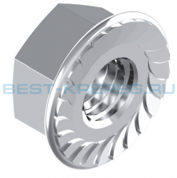 Шестигранные гайки с зубчатым фланцем DIN 6923 A2