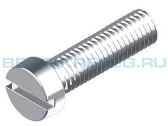 Винты с цилиндрической головкой с прямым шлицем DIN 84 A2 A4